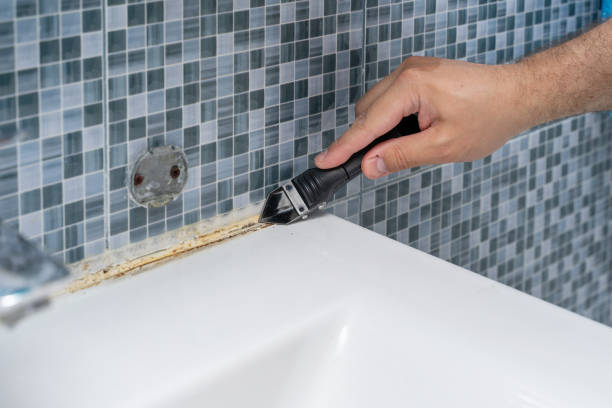 Best Mold Damage Repair  in Cedar Mill, OR