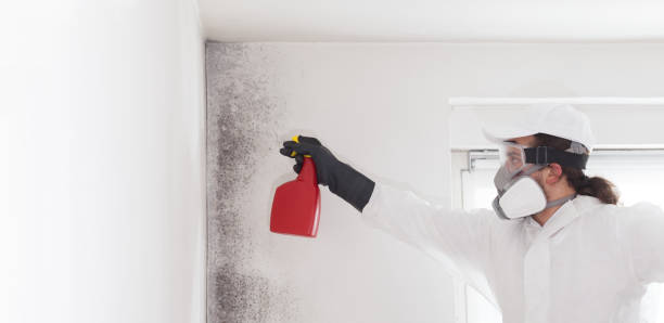 Best Residential Mold Removal  in Cedar Mill, OR
