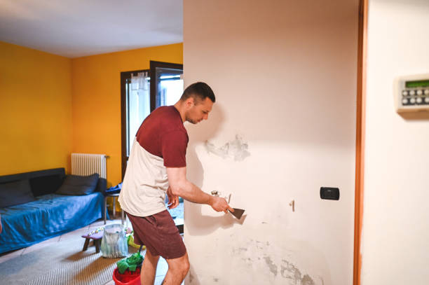 Best Attic Mold Removal  in Cedar Mill, OR